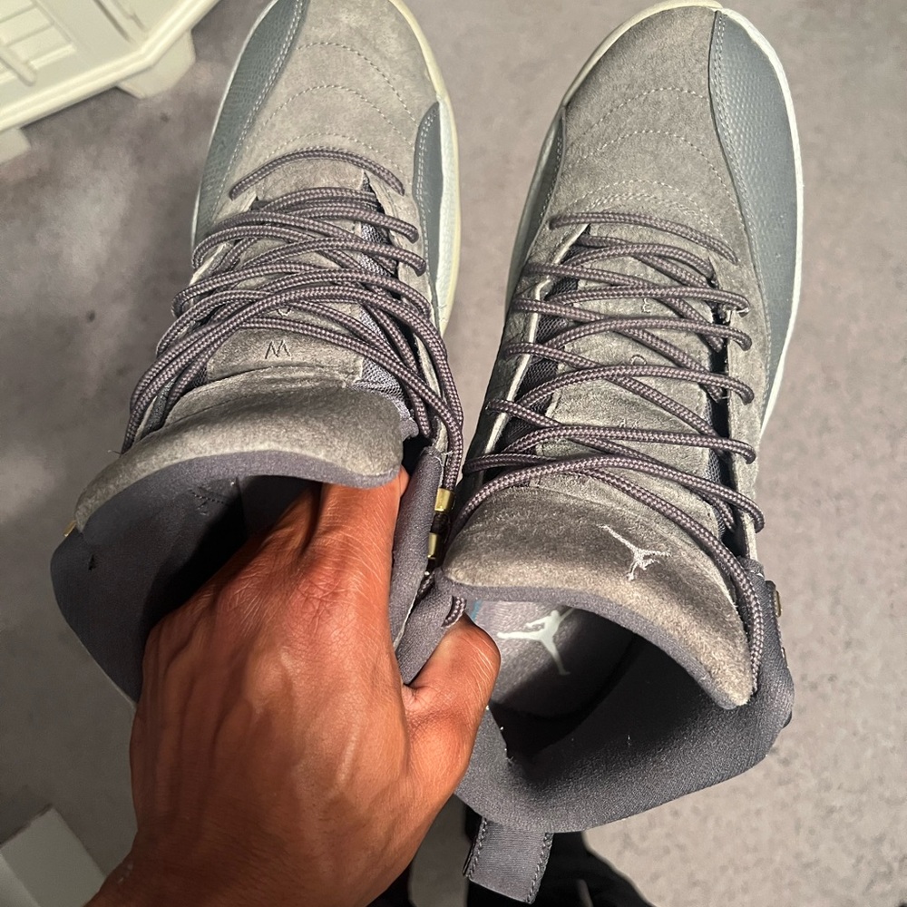 Jordan Wolf Grey 12